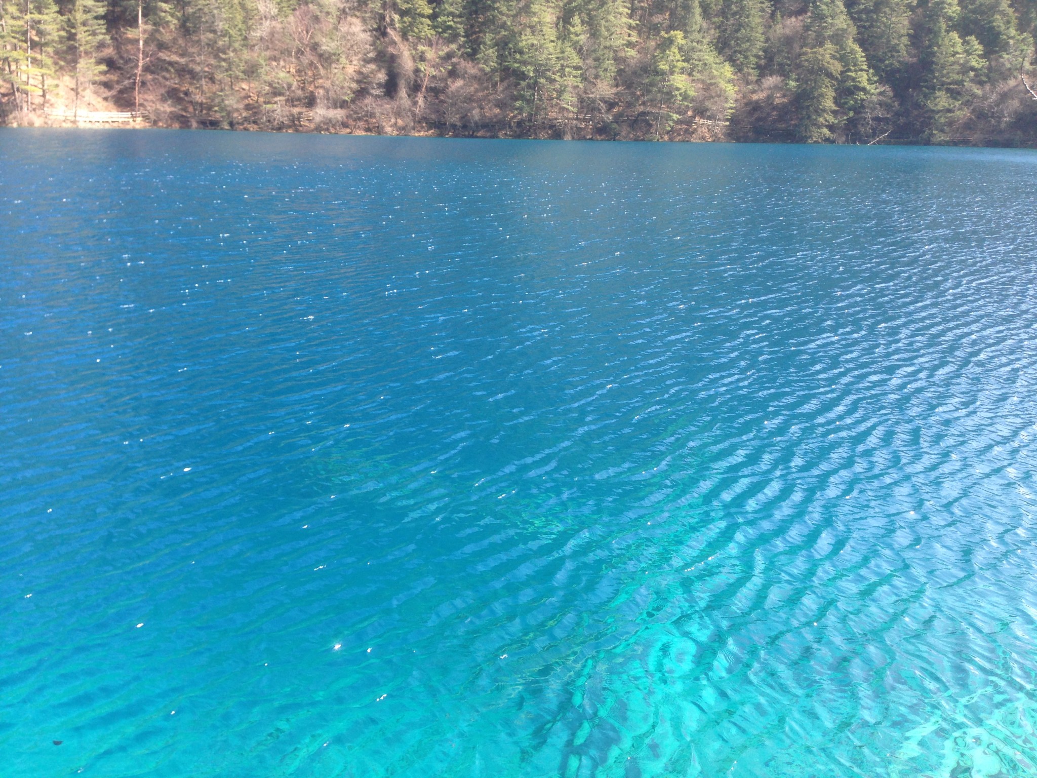 голубое озеро подмосковье