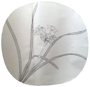 Narcissus Sketch